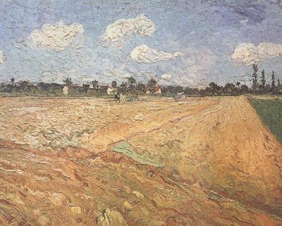 Vincent Van Gogh Ploughed Field (nn04) oil painting picture